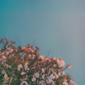 黄瓜视频wwwxy18app官网
